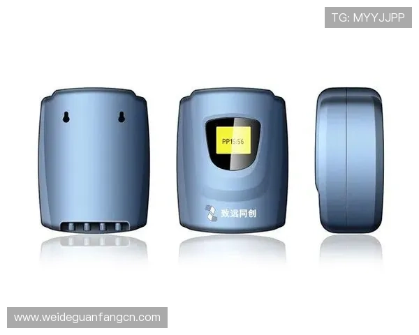 便捷快速的PP电子下载流程指南,帮助新手玩家轻松上手体验游戏乐趣