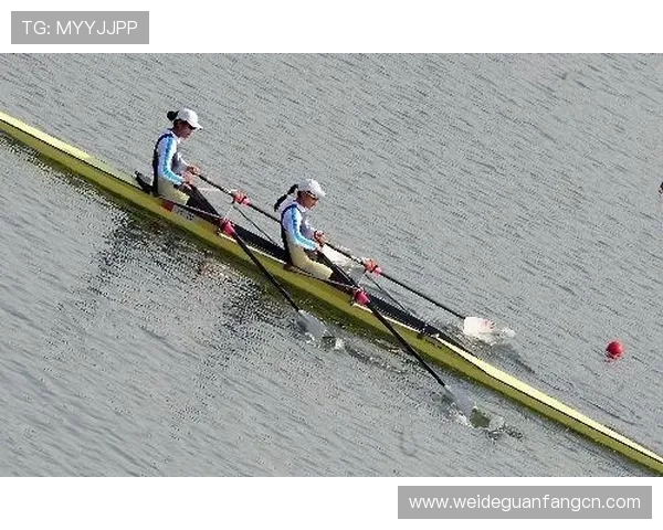 利用世博体育平台实现多元化体育赛事直播与互动交流的实用指南